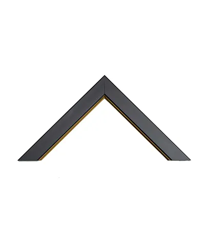 Type of Moulding Profile - PS025-05G