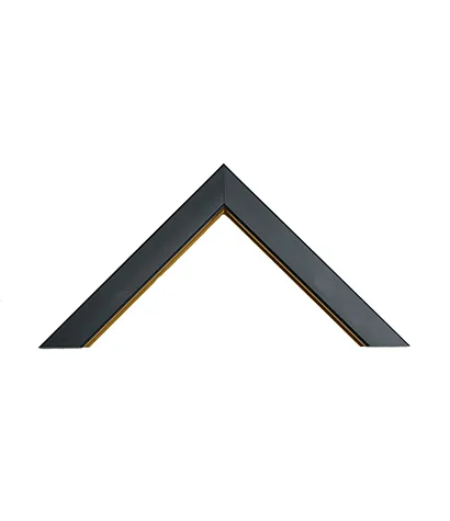 Type of Moulding Profile - PS025-06G